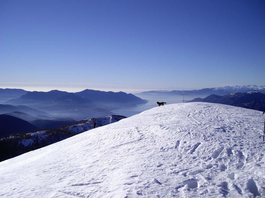 Ma il Monviso fino dove e'' possibile vederlo ?